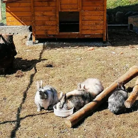 مكان تخييم Mobil-home Pratique, Animaux Ok - 4 Pers. - Api-1-52-2969 Estaing (Hautes-Pyrenees)