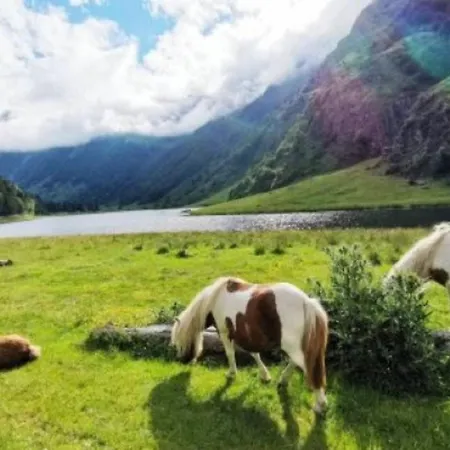 Mobil-home Pratique, Animaux Ok - 4 Pers. - Api-1-52-2969 Estaing (Hautes-Pyrenees)